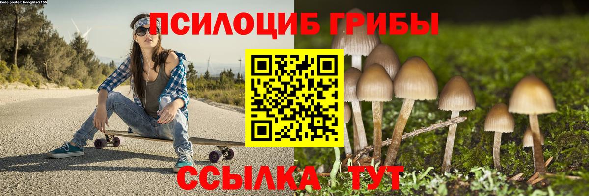 Псилоцибиновые грибы Cubensis  Вход с VPN  Красноармейск 